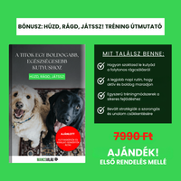 MancsVilág Interaktív Kutyajáték