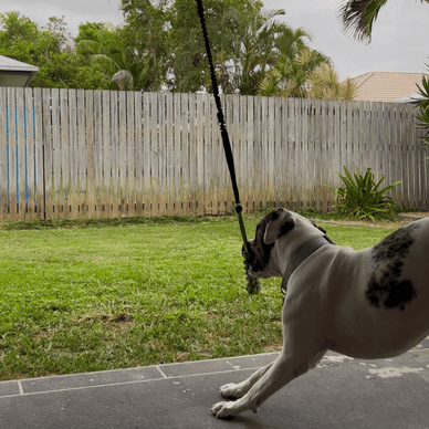 Transform Boredom into Joyful Adventure!