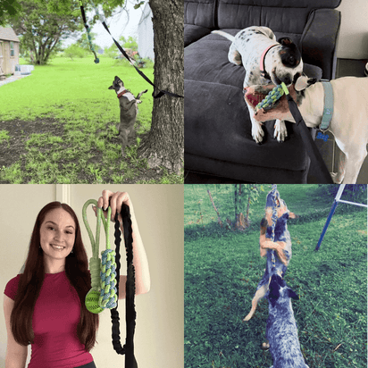 MancsVilág Interaktív Kutyajáték