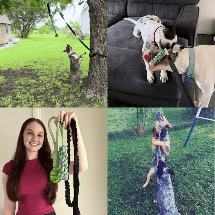 MancsVilág Interaktív Kutyajáték