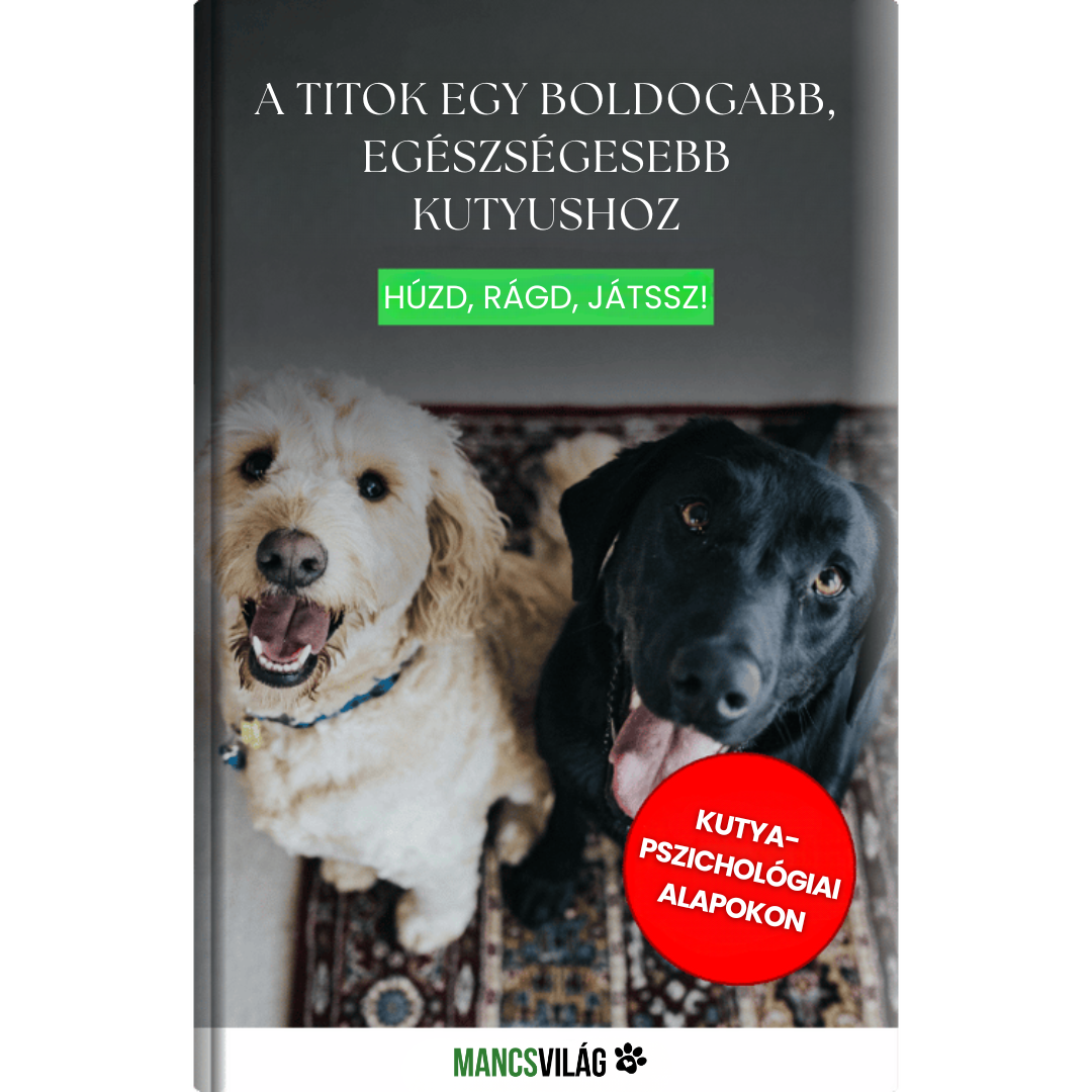 A Titok egy Boldogabb és Egészségesebb Kutyushoz E-Könyv