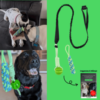 MancsVilág Interaktív Kutyajáték