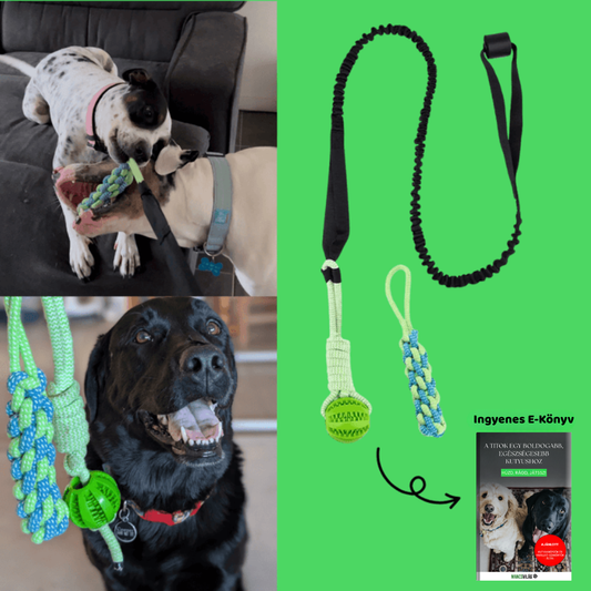 MancsVilág Interaktív Kutyajáték