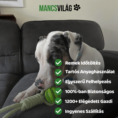 MancsVilág Interaktív Kutyajáték