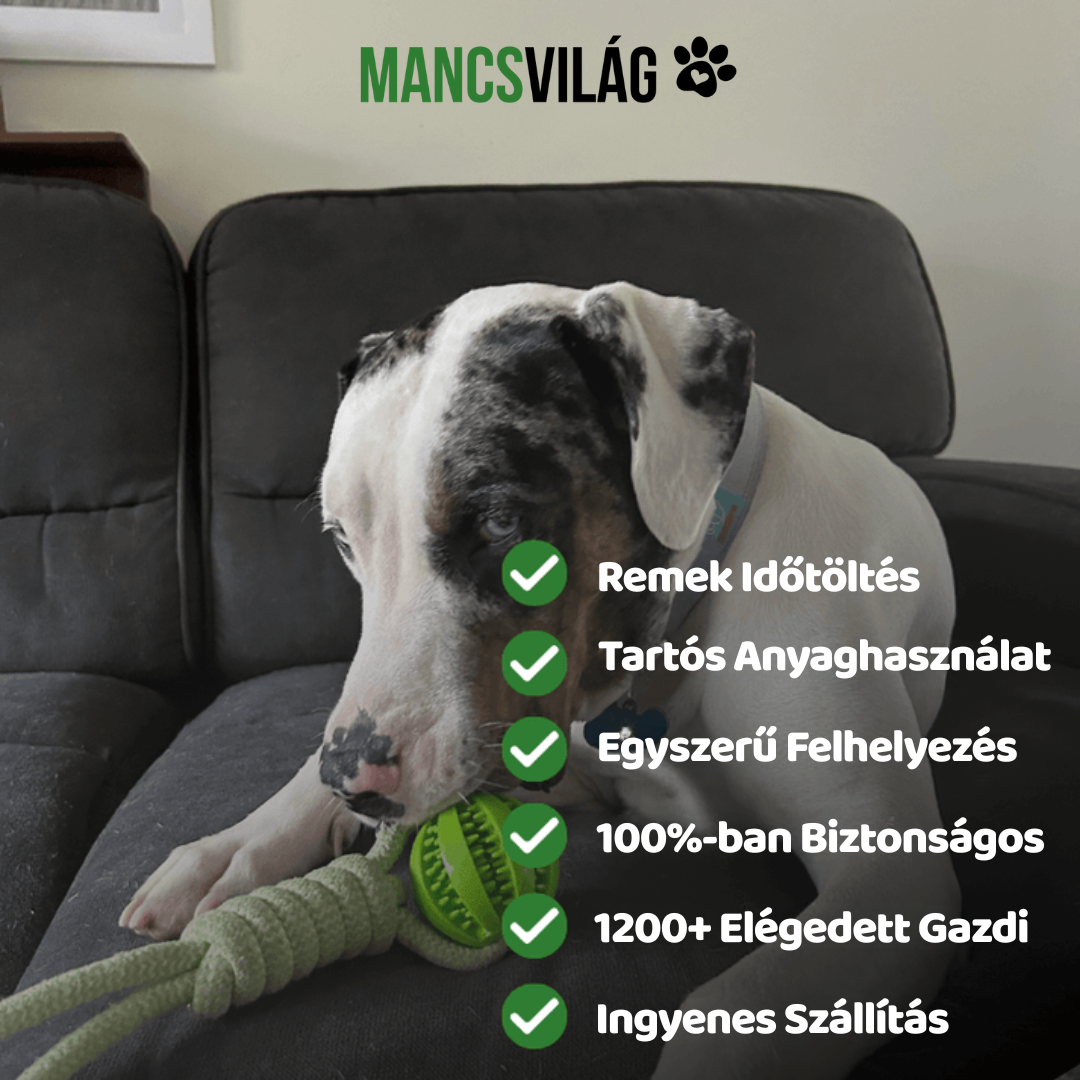 MancsVilág Interaktív Kutyajáték